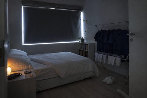 Day Sleeper, a past case