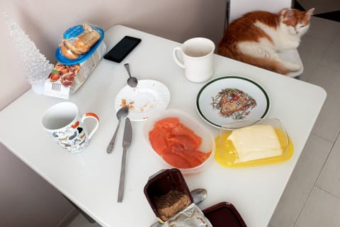 After Breakfast, a past case